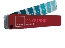 Color bridge