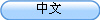 中文