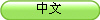 中文